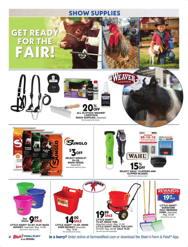 Weekly ad Blain's Farm & Fleet Sales from June 18 to July 1 2026 - Page 4