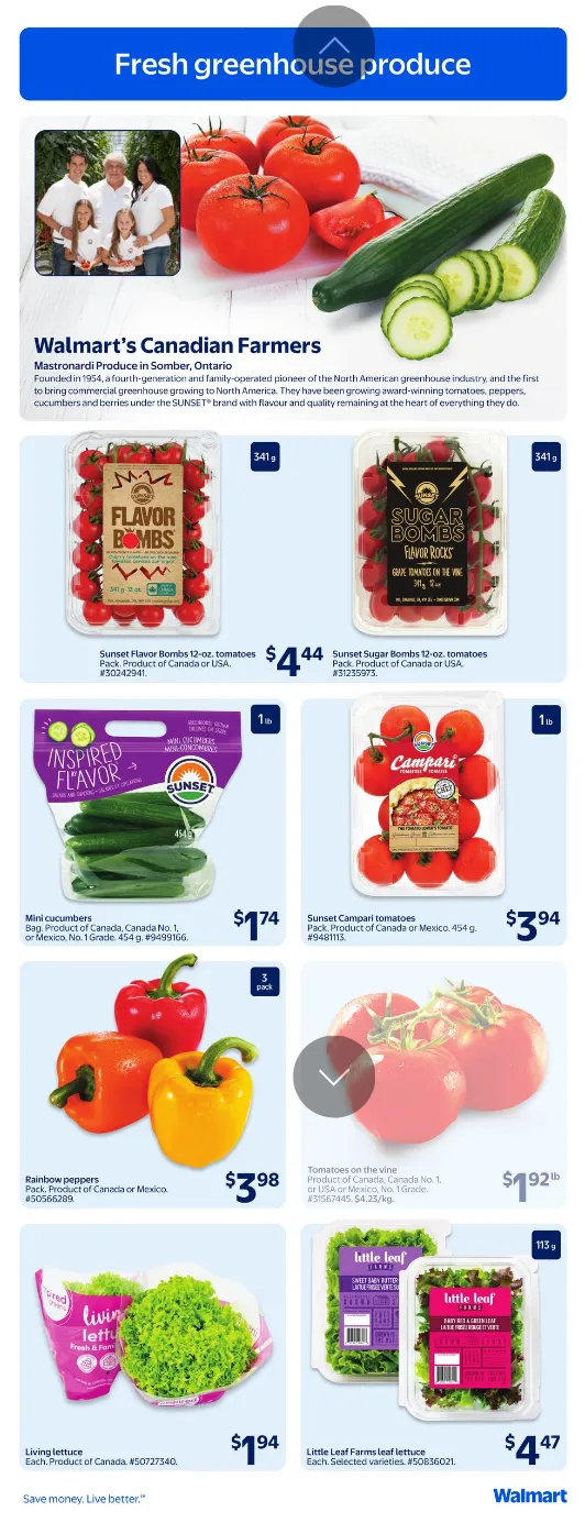 Walmart Sales from June 4 to June 10 2026 - flyer page 4