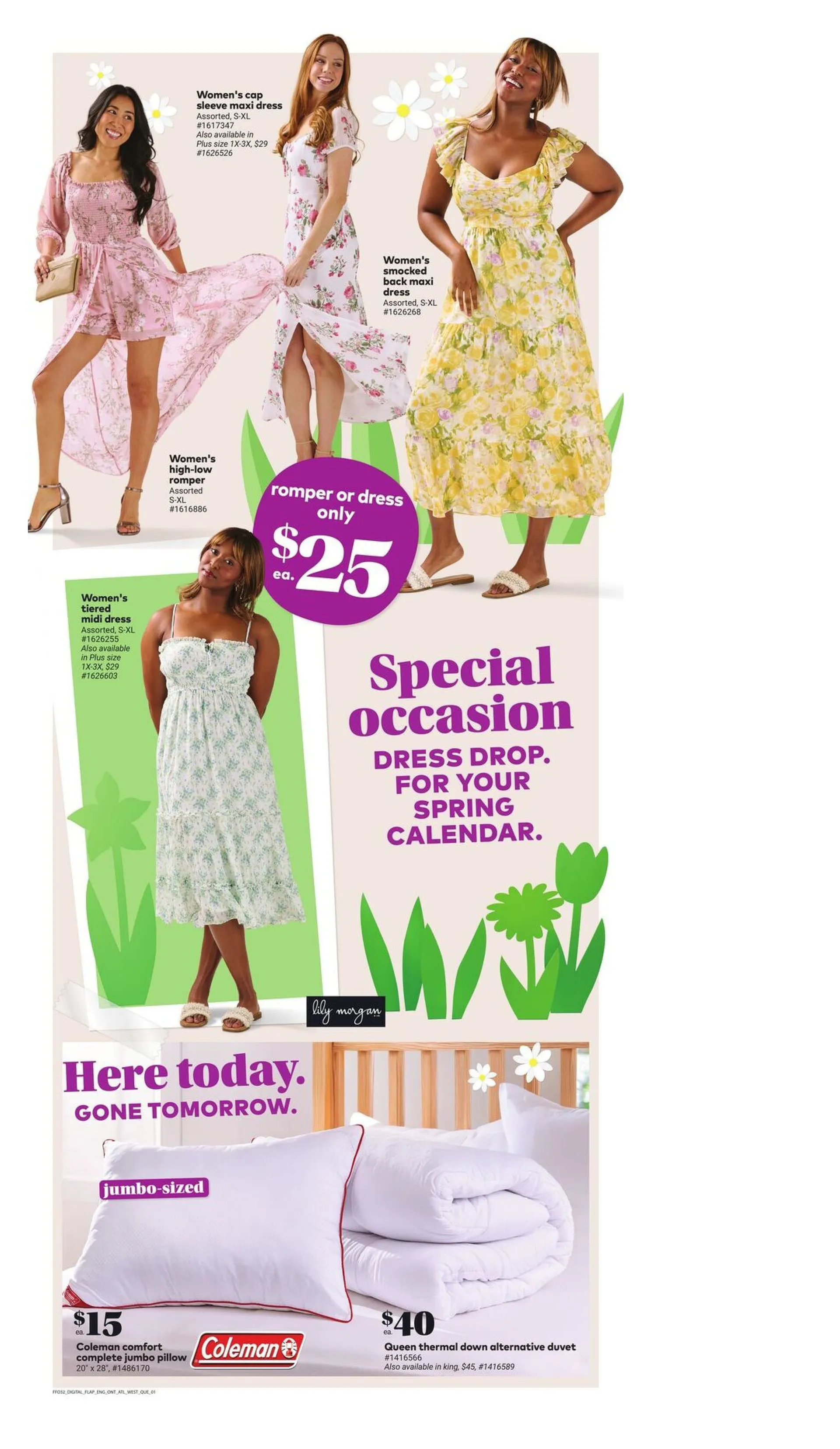 Giant Tiger flyers from March 11 to March 17 2026 - flyer page 4