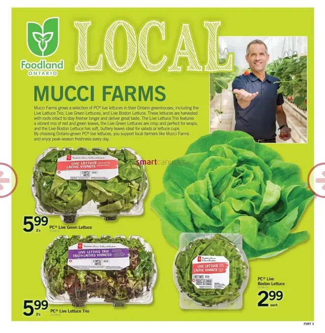 Fortinos Sales from July 2 to July 8 2026 - flyer page 4