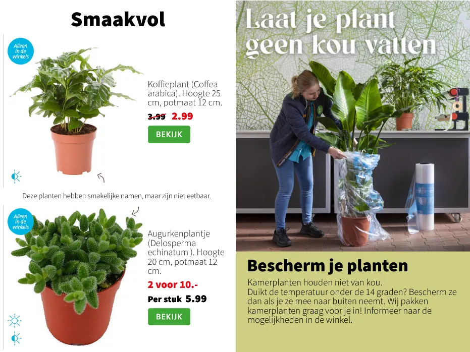 Intratuin folders van 26 januari tot 1 februari 2026 - Folder pagina 4