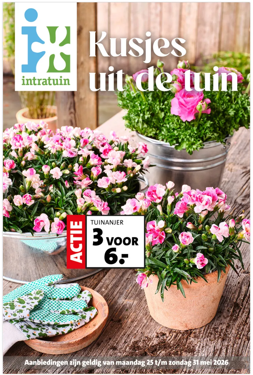 Intratuin folders van 25 mei tot 31 mei 2026 - Folder pagina 4