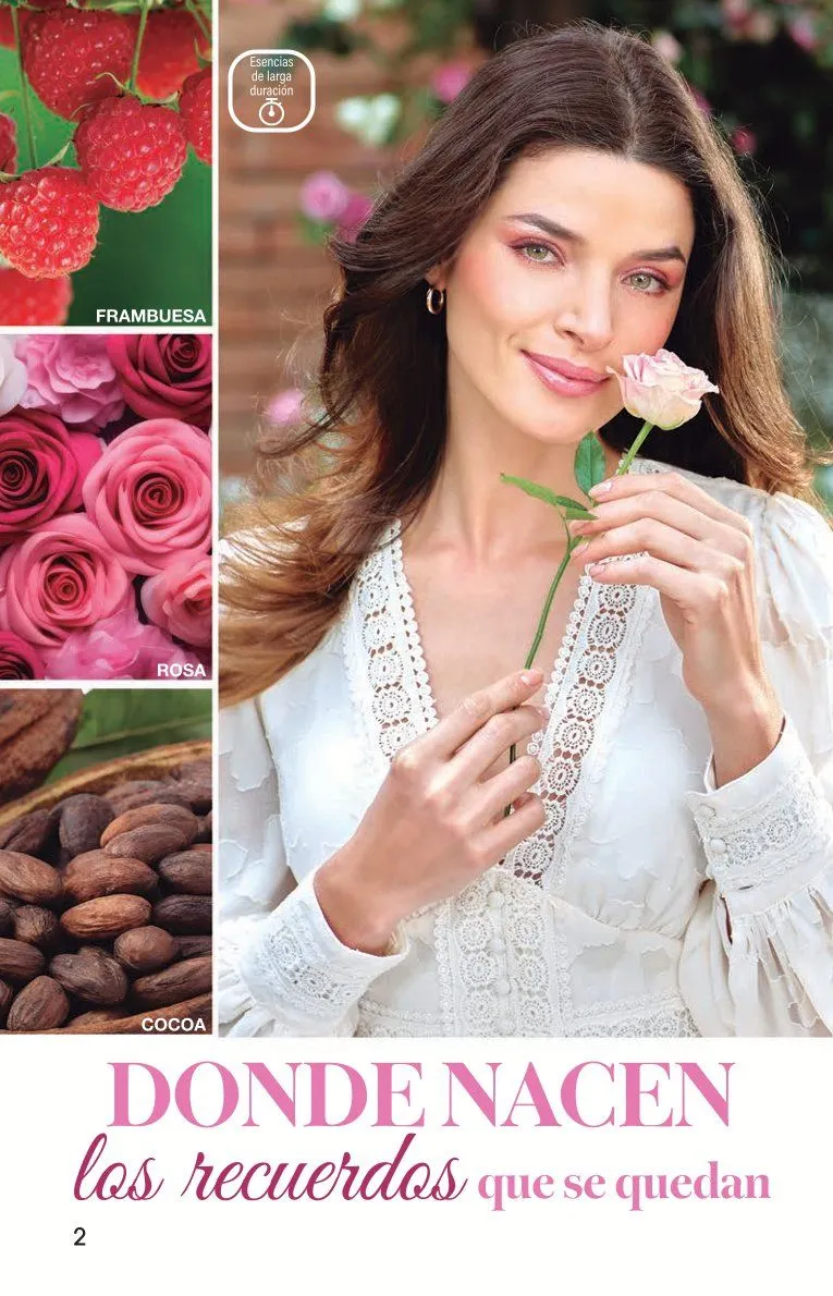 Catálogo de Arabela Ofertas 17 de abril al 30 de abril 2026 - Pagina 4