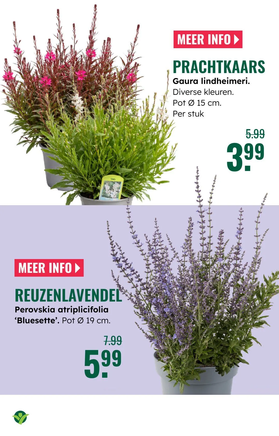 GroenRijk folders van 18 juni tot 24 juni 2026 - Folder pagina 4