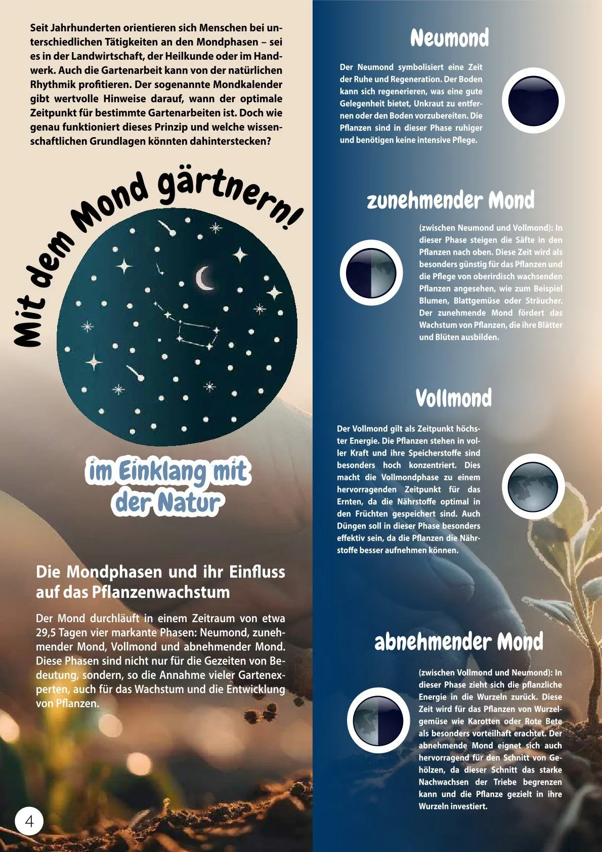 Kiebitzmarkt Magazine von 21. Februar bis 15. Februar 2025 - Prospekt seite 4