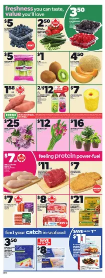 Zehrs Sales from February 19 to February 25 2026 - flyer page 4