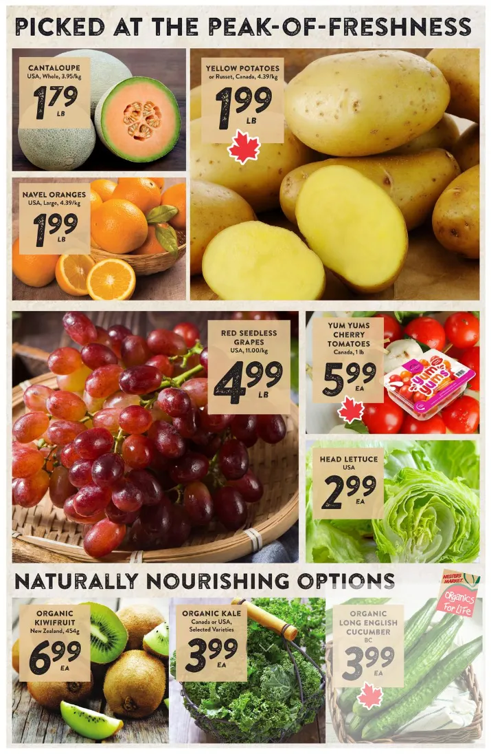 Nesters Market Sales from May 7 to May 13 2026 - flyer page 4