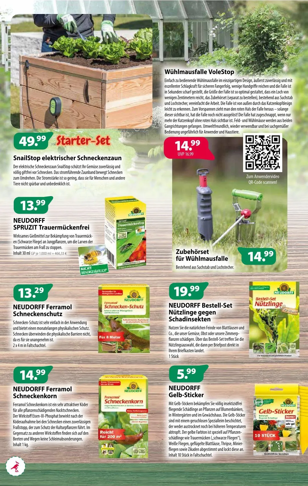 Kiebitzmarkt Angebote von 29. März bis 5. April 2025 - Prospekt seite 4