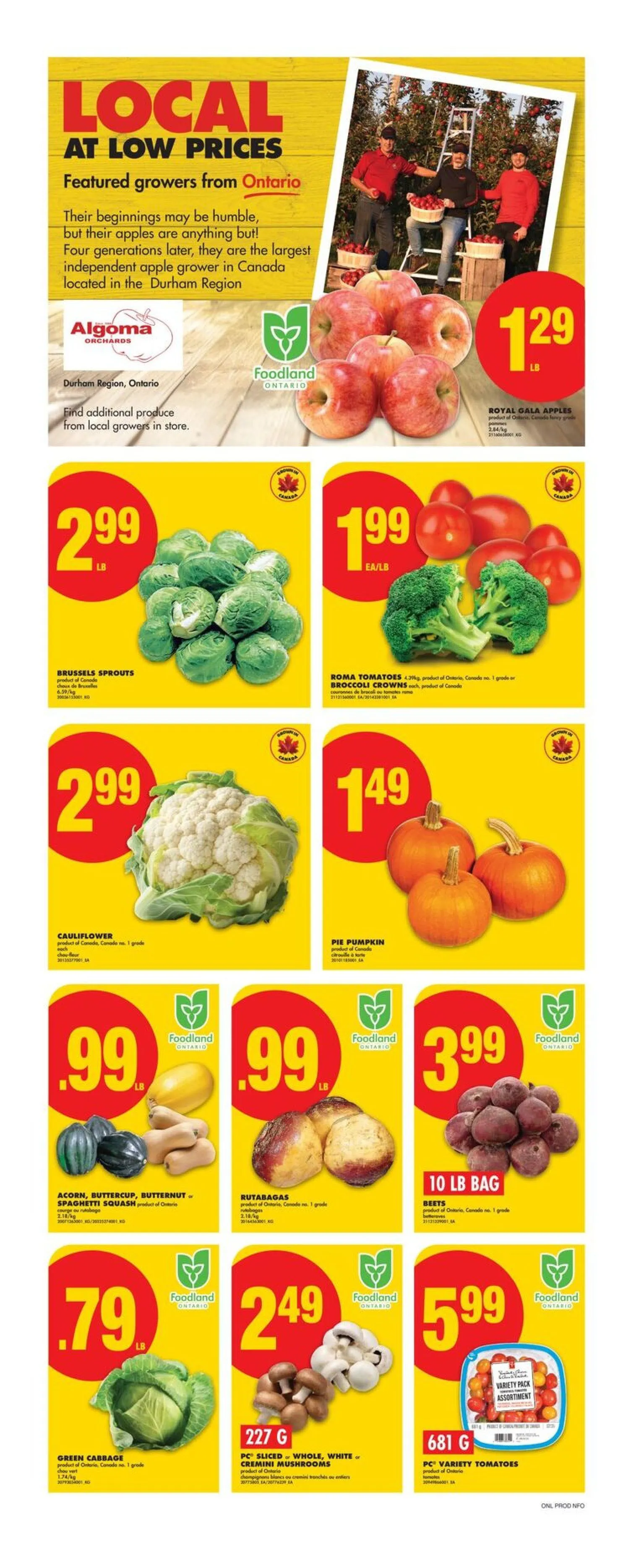 No Frills Sales from September 25 to October 1 2025 - flyer page 4