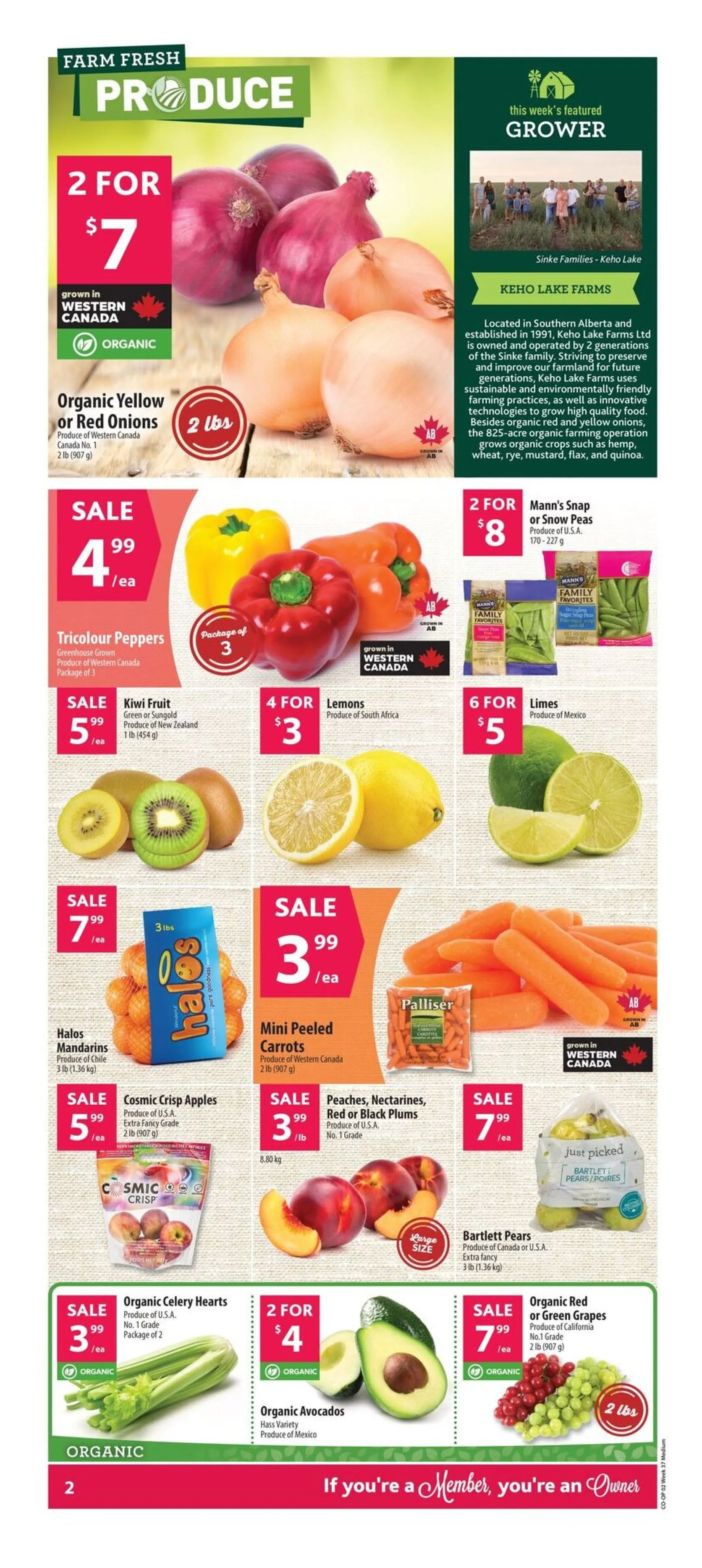 Co-op Food Sales from September 4 to September 10 2025 - flyer page 4