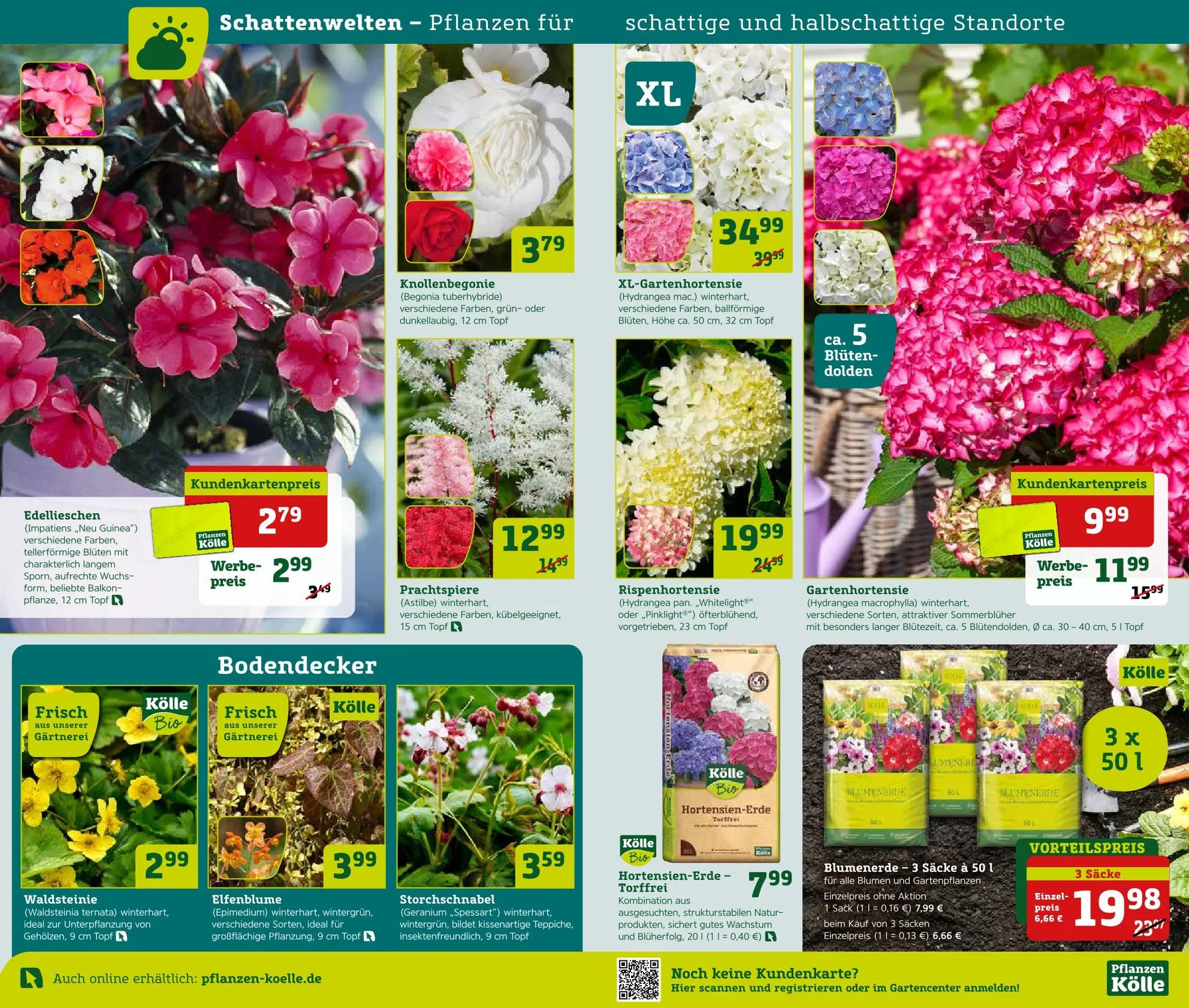 Pflanzen-Kölle Prospekte von 16. Mai bis 18. Mai 2025 - Prospekt seite 6