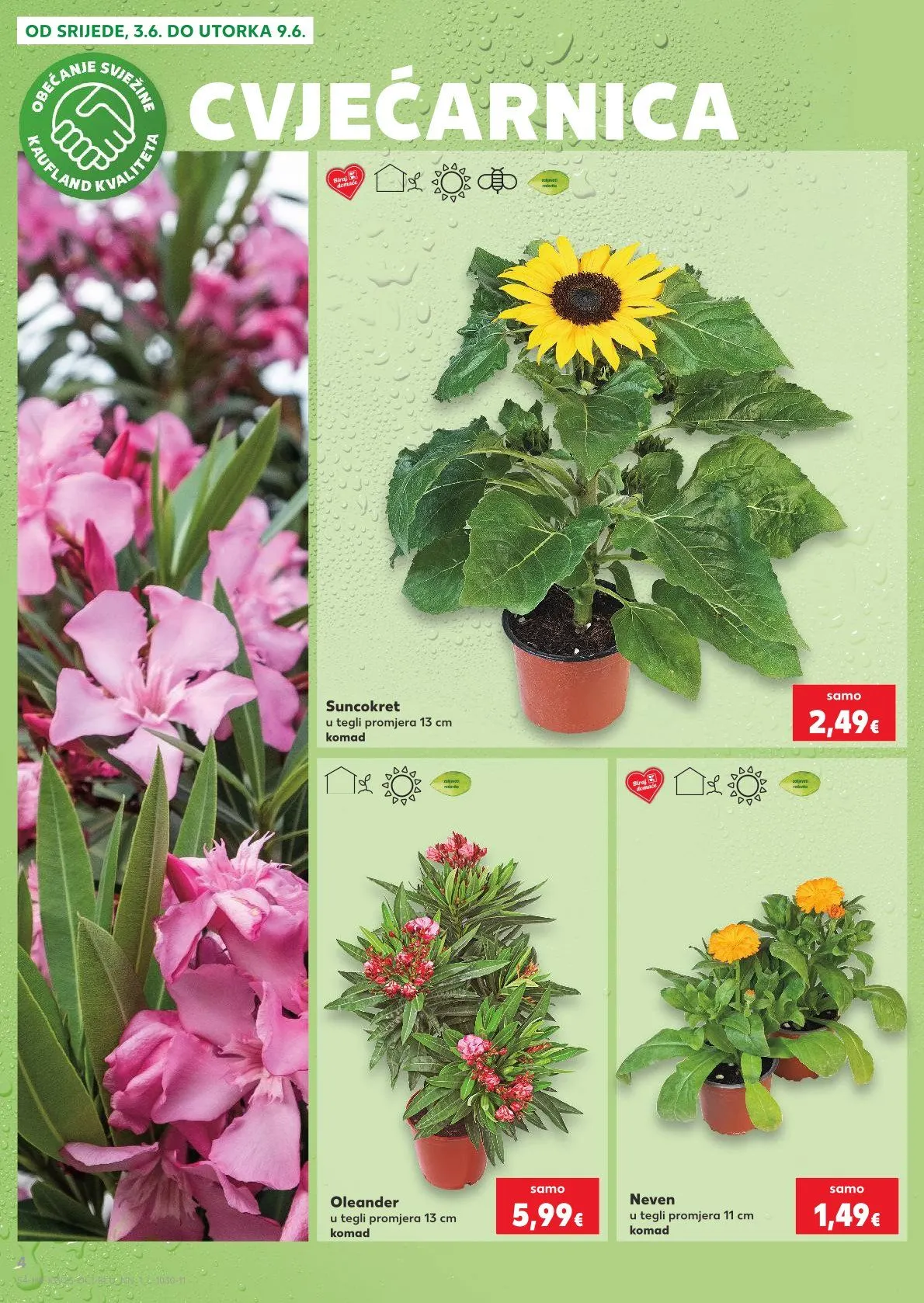 Katalog Kaufland od 3. lipnja do 9. lipnja 2026. - Pregled Stranica 4