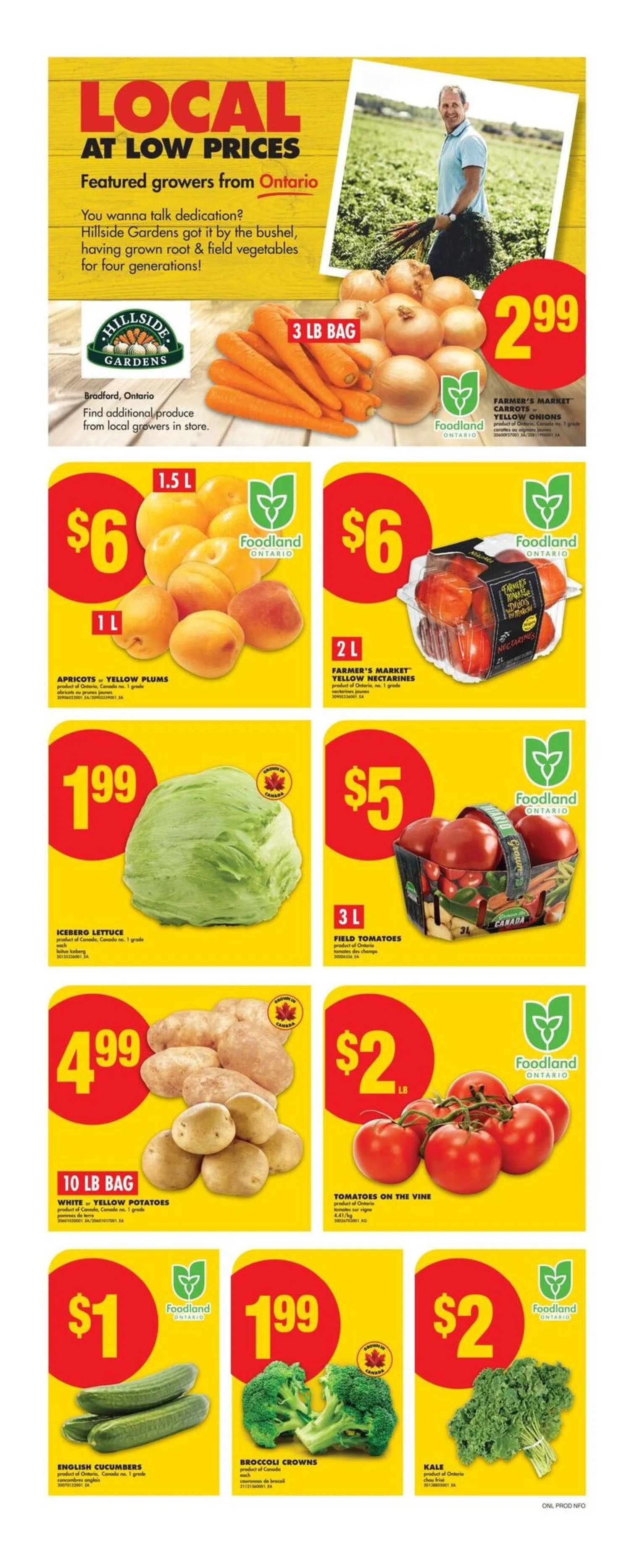 No Frills Sales from July 30 to August 6 2025 - flyer page 4