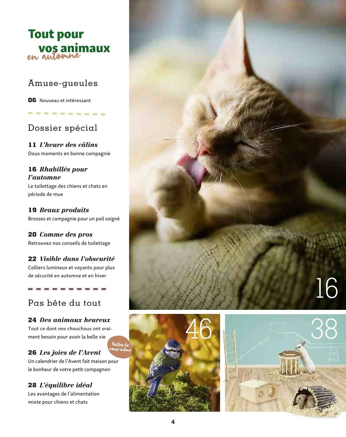 Maxi ZOO Catalogue du 23 décembre au 31 décembre 2025 - Catalogue page 4