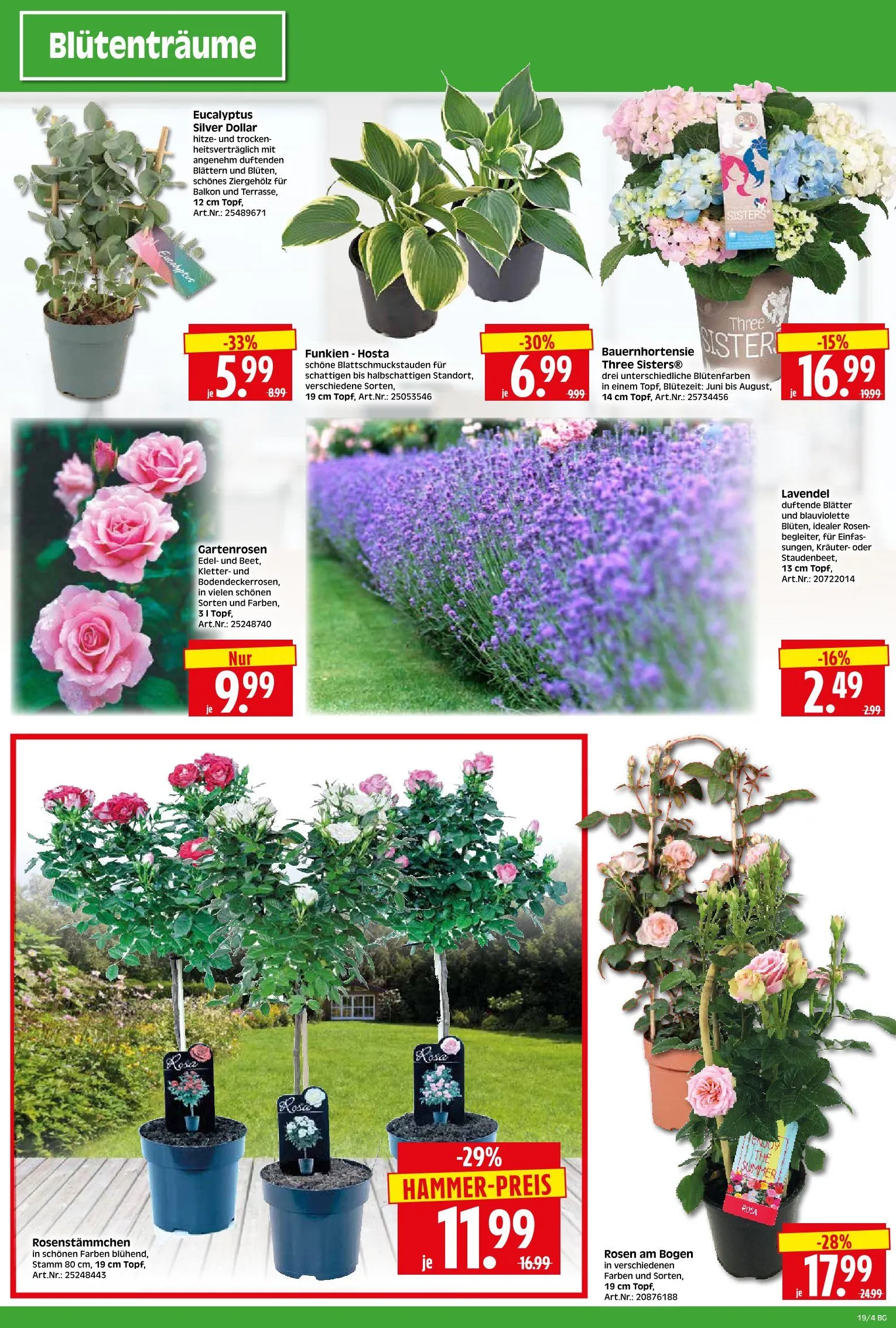 Herkules Baumarkt Prospekte von 5. Mai bis 10. Mai 2025 - Prospekt seite 4