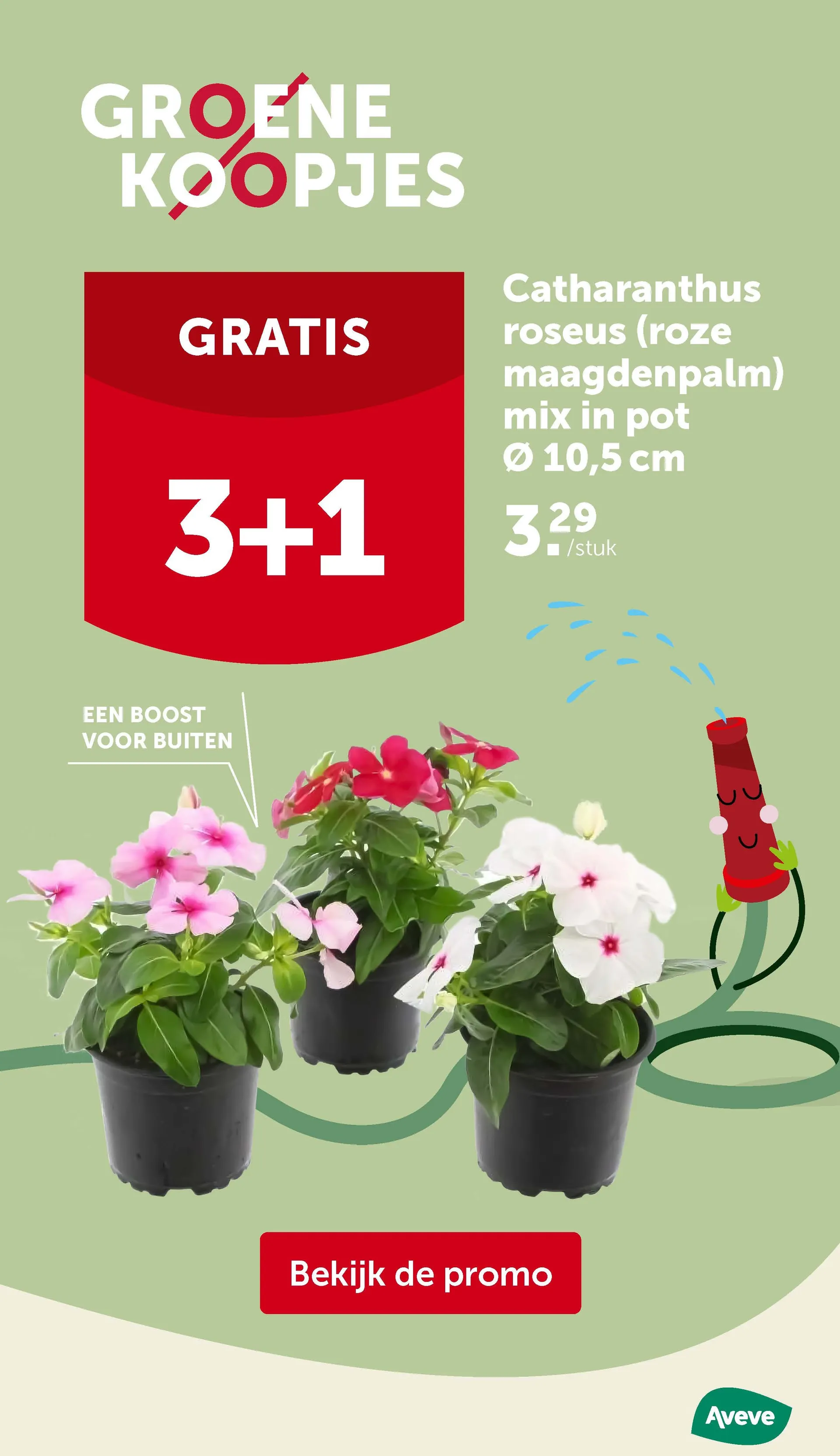 Speciale aanbiedingen van Aveve van 28 mei tot 1 juni 2025 - Folder pagina 4