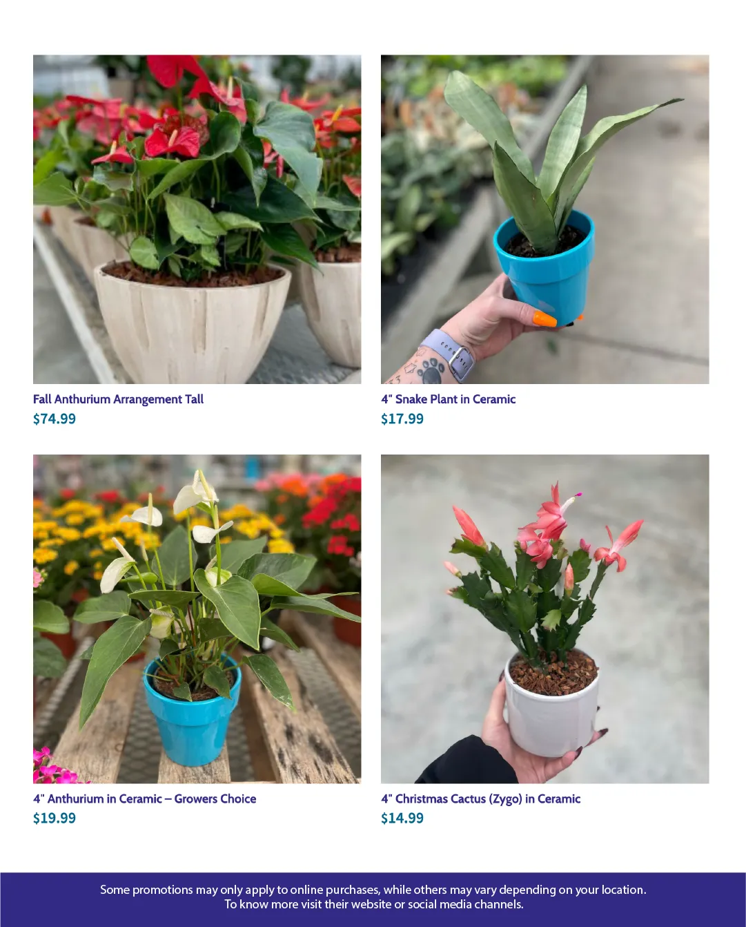 Flyer from October 28 to November 13 2025 - flyer page 3