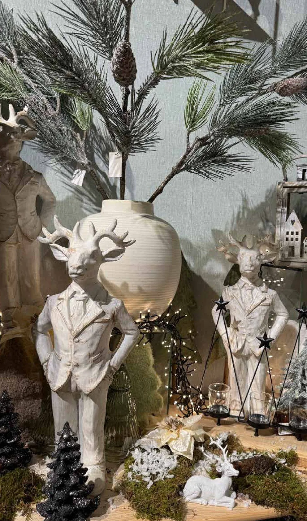 Pflanzen-Kölle Angebote von 11. November bis 25. Dezember 2025 - Prospekt seite 4