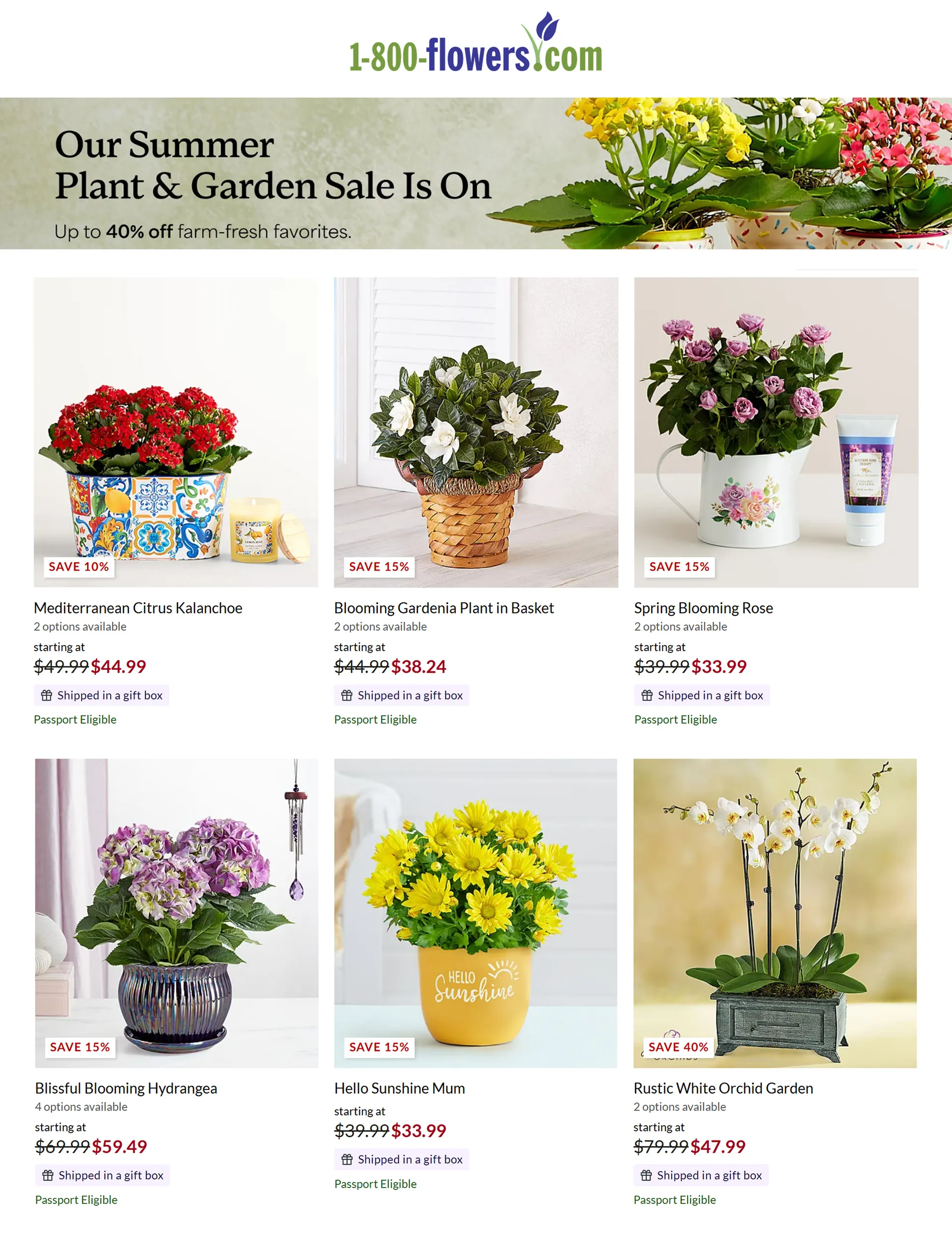 Weekly ad Flower Deals & Offers from June 27 to July 19 2025 - Page 2