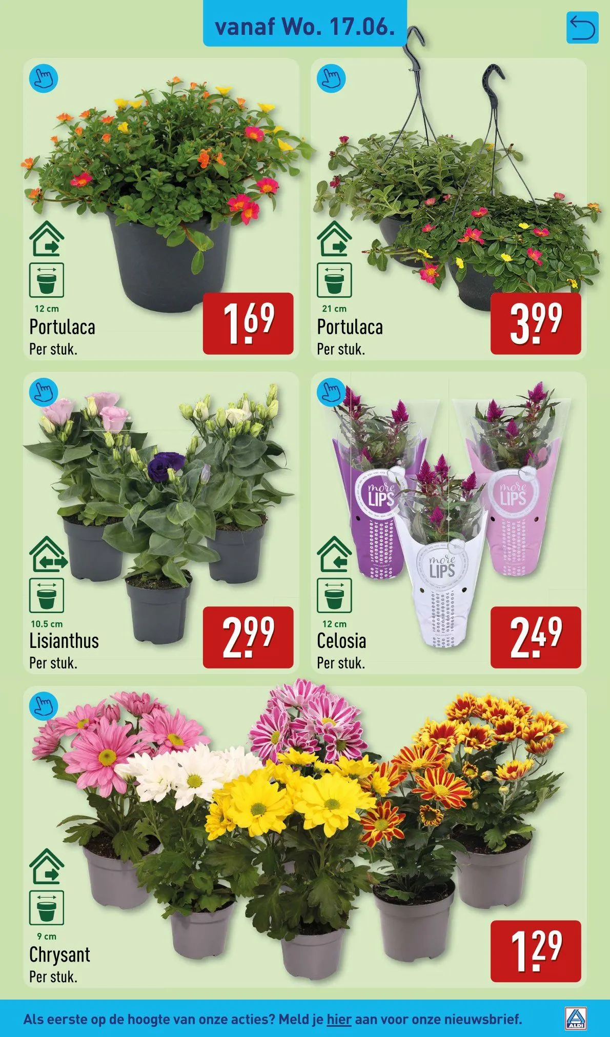 Aldi folders van 15 juni tot 21 juni 2026 - Folder pagina 41
