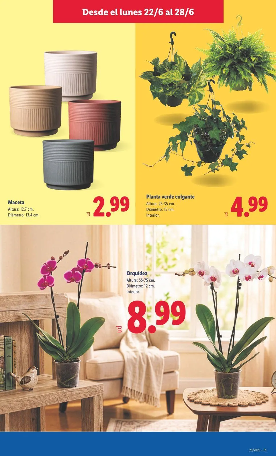 Catálogo de Lidl Ofertas 22 de junio al 28 de junio 2026 - Página 41