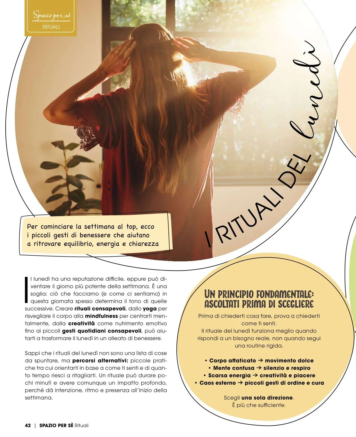 Famila Volantino da 20 aprile a 25 aprile di 2026 - Pagina del volantino 41