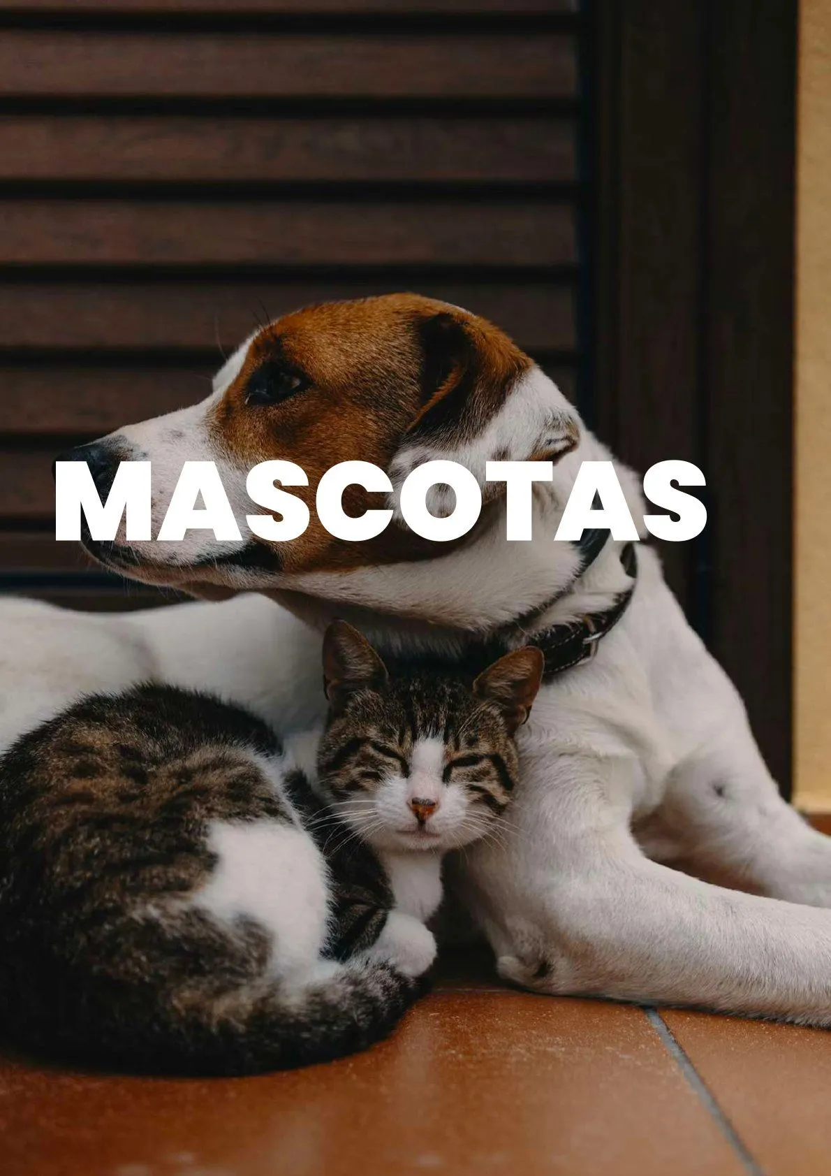 Catálogo de CUGAT Ofertas 9 de febrero al 11 de febrero 2026 - Página 42