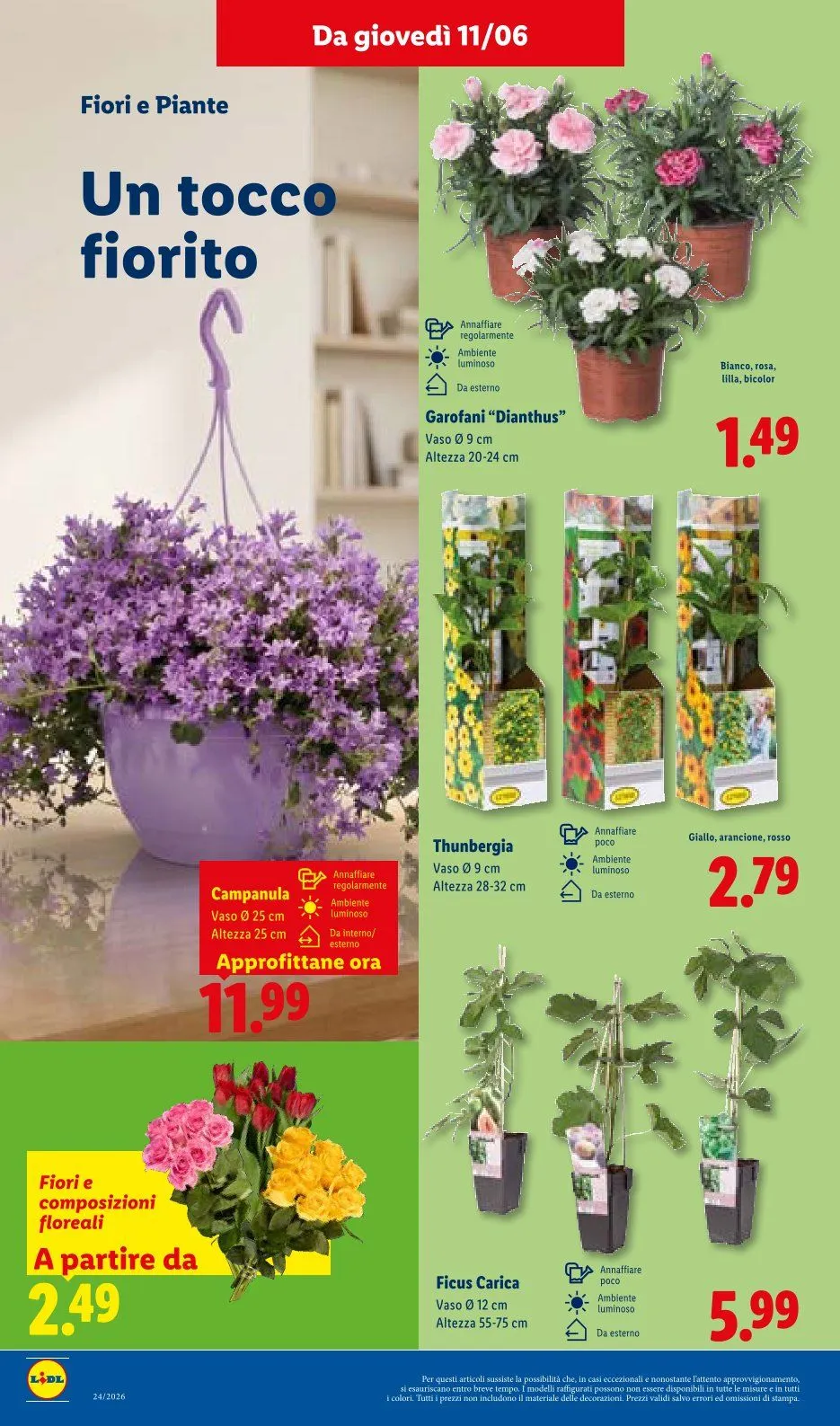 Volantini Lidl da 11 giugno a 17 giugno di 2026 - Pagina del volantino 42