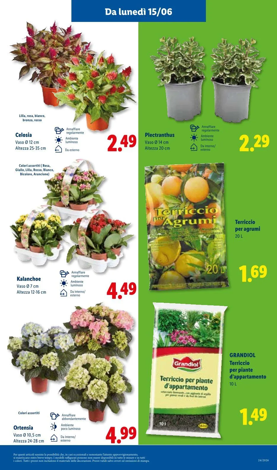 Volantini Lidl da 11 giugno a 17 giugno di 2026 - Pagina del volantino 43