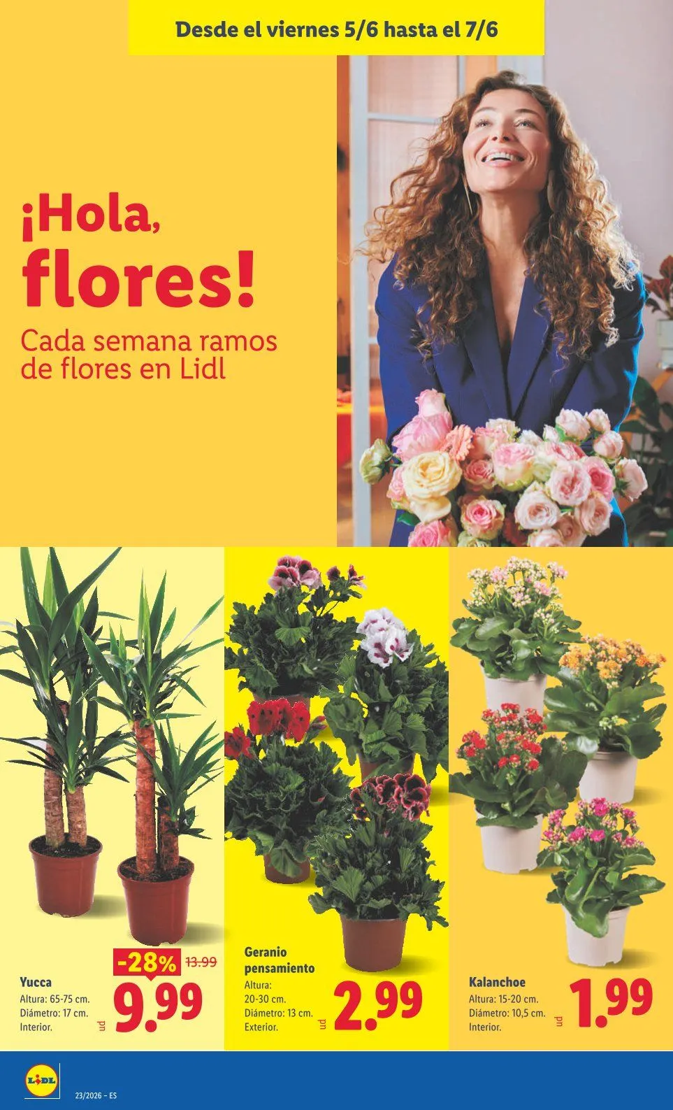 Catálogo de Folleto Lidl 1 de junio al 7 de junio 2026 - Página 44