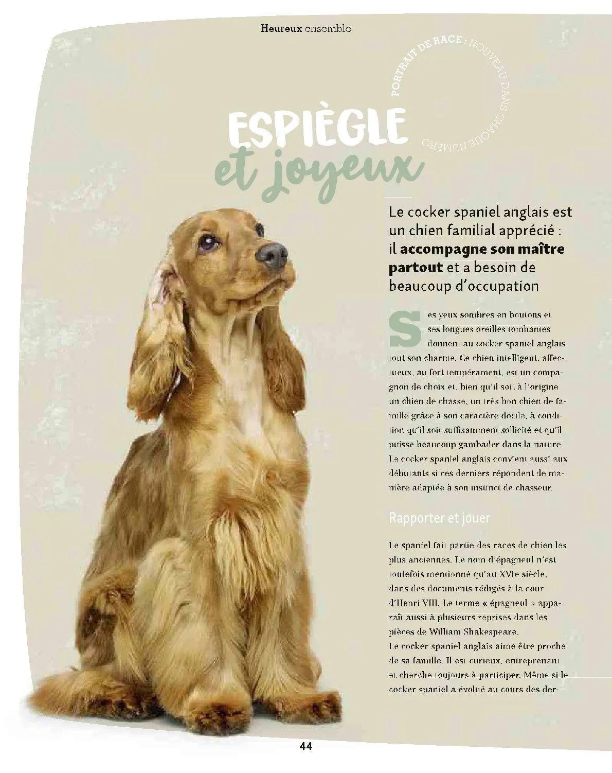 Maxi ZOO Catalogue du 23 décembre au 31 décembre 2025 - Catalogue page 44