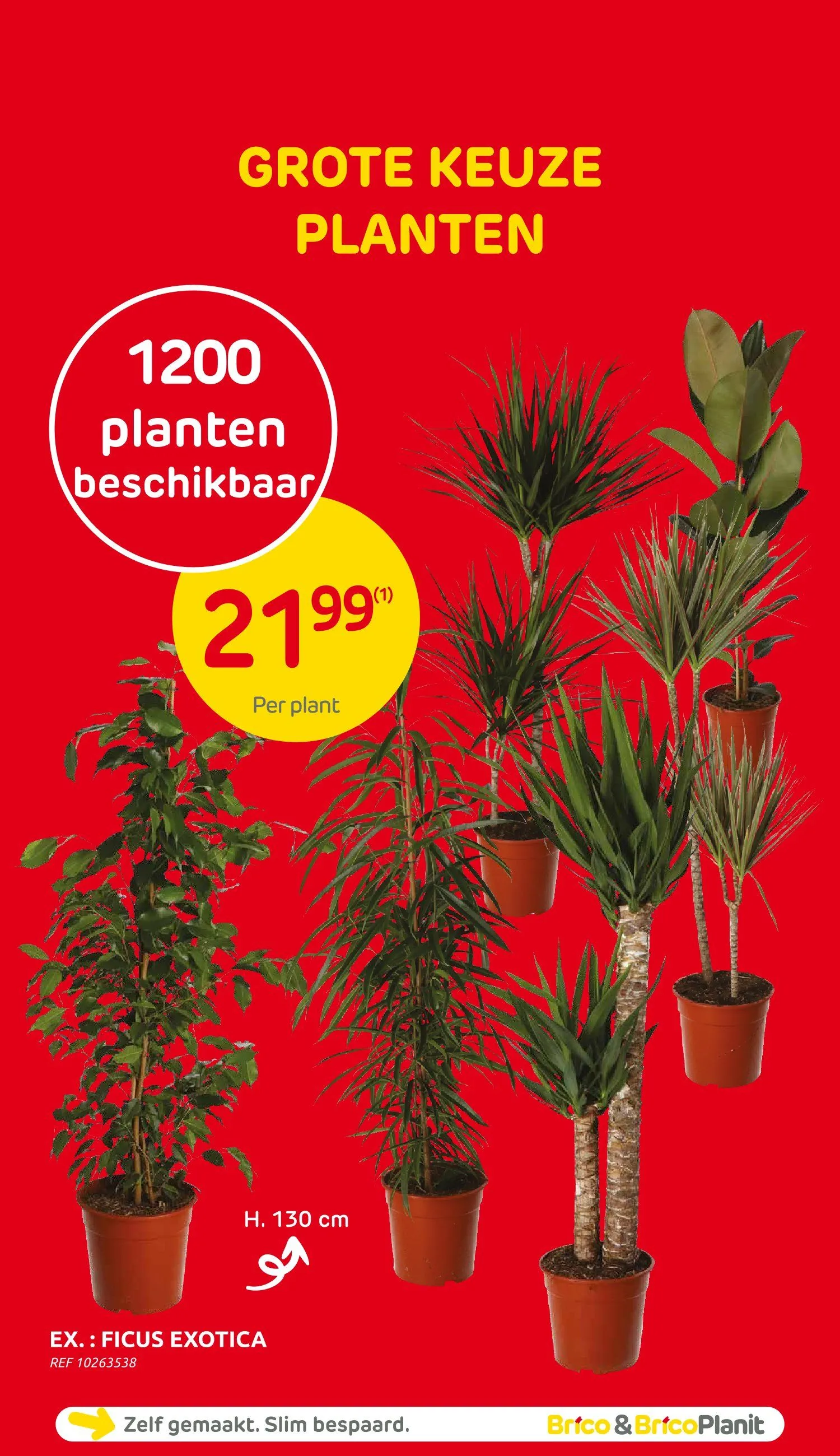 Speciale promoties van Brico van 2 januari tot 27 januari 2025 - folder pagina 45