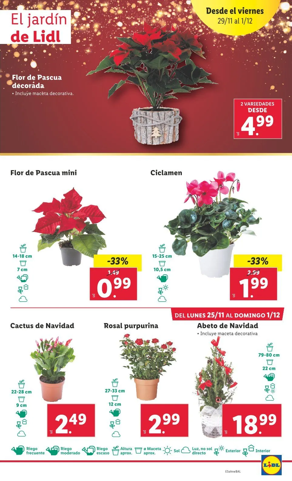 Catálogo de Lidl Ofertas 18 de noviembre al 25 de noviembre 2024 - Página 45