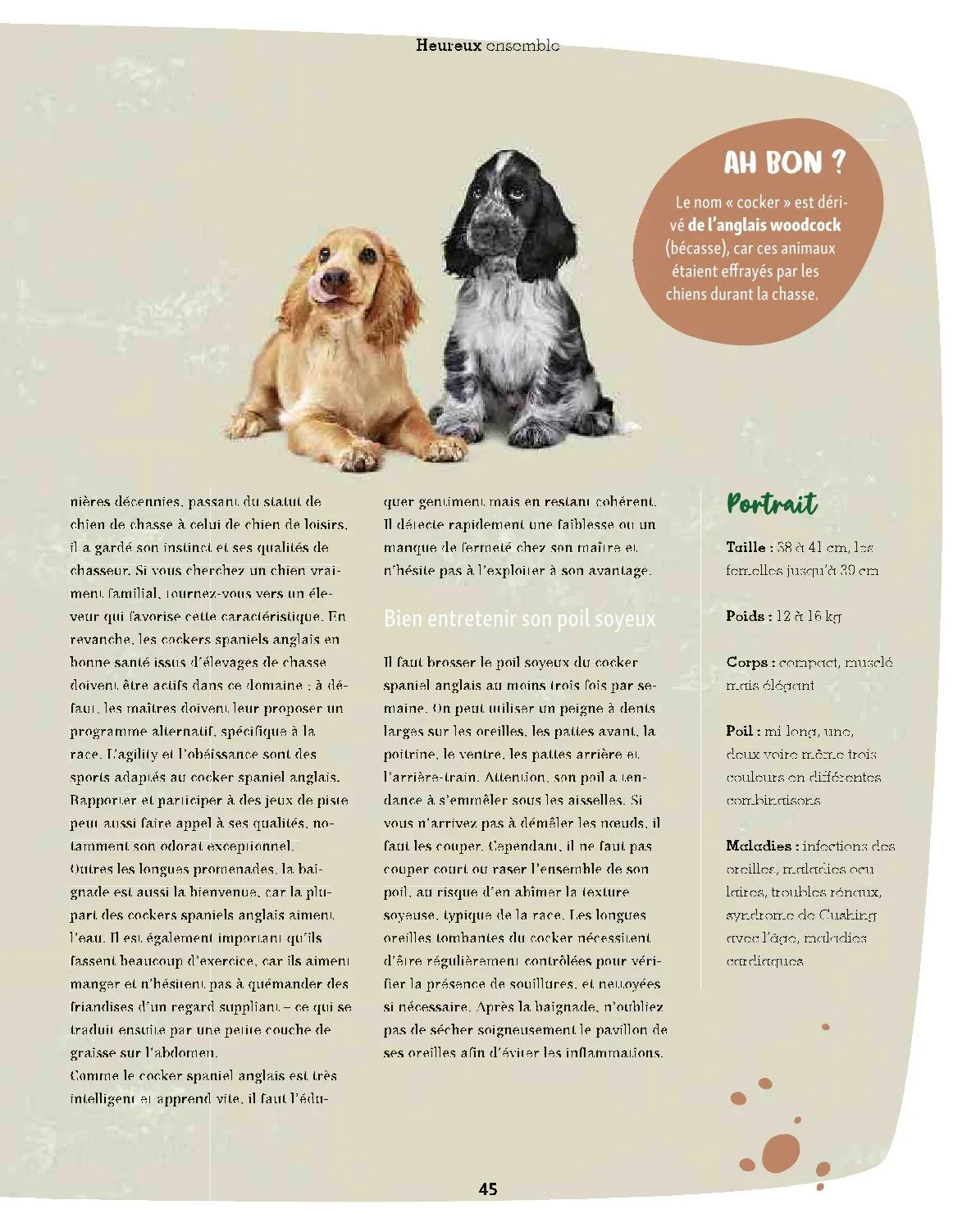 Maxi ZOO Catalogue du 23 décembre au 31 décembre 2025 - Catalogue page 45