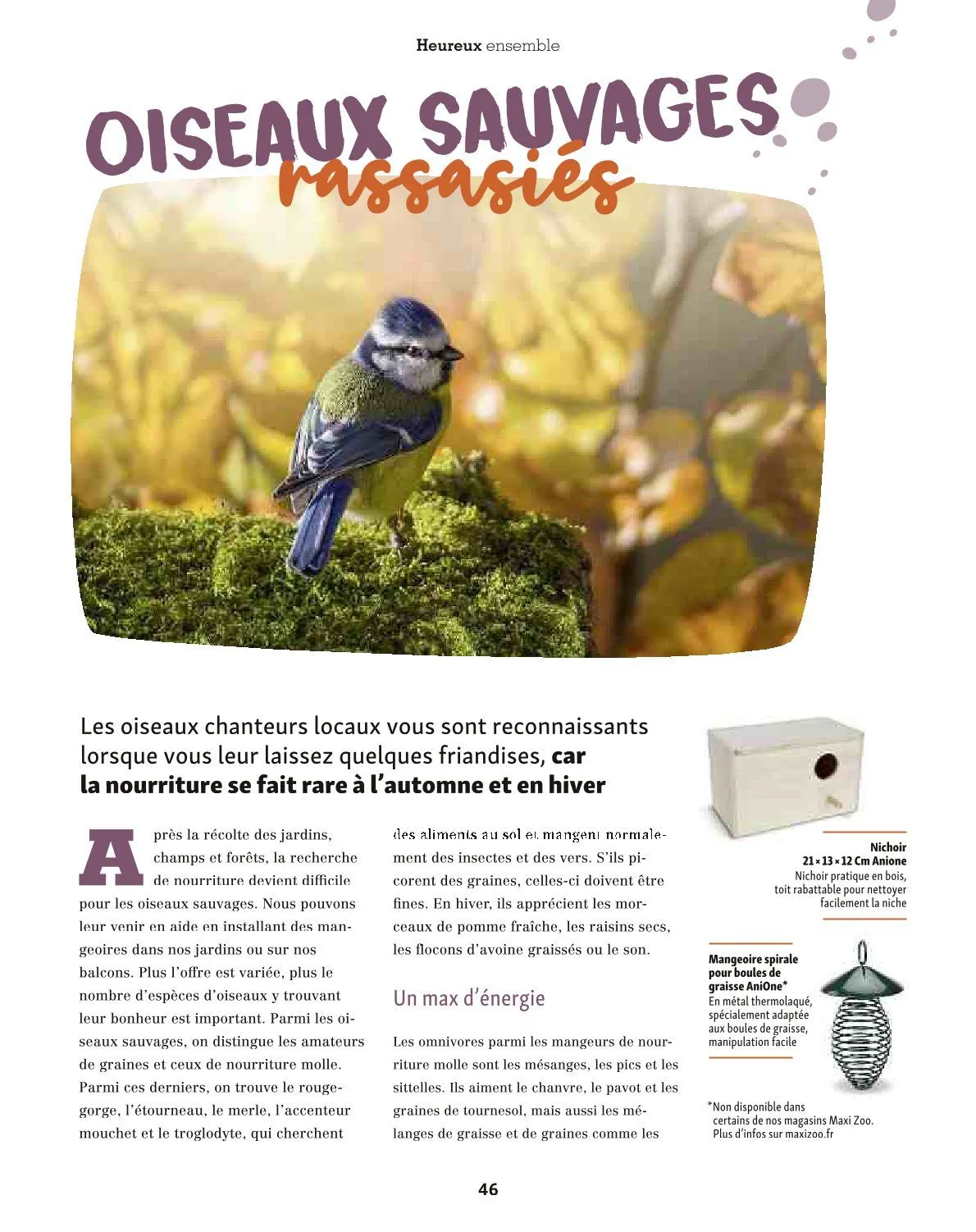 Maxi ZOO Catalogue du 23 décembre au 31 décembre 2025 - Catalogue page 46