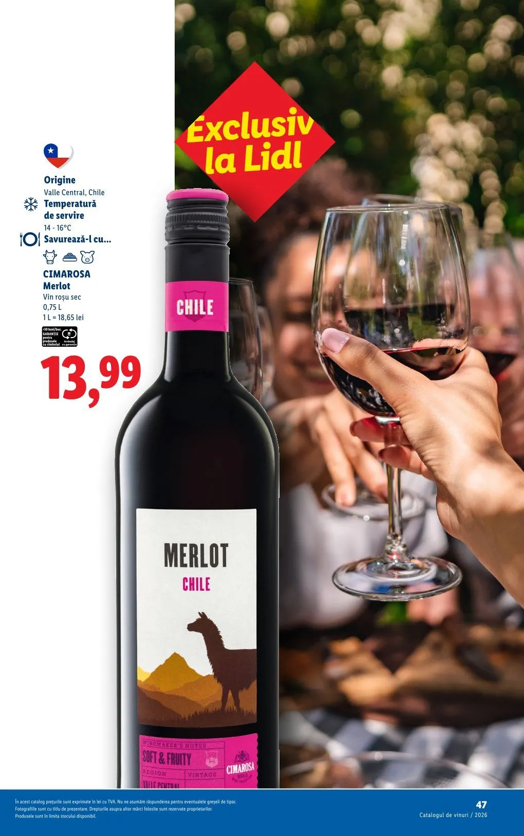 Catalog Lidl catalog de la 26 mai până la 30 iunie 2026 - Revista Pagina 47