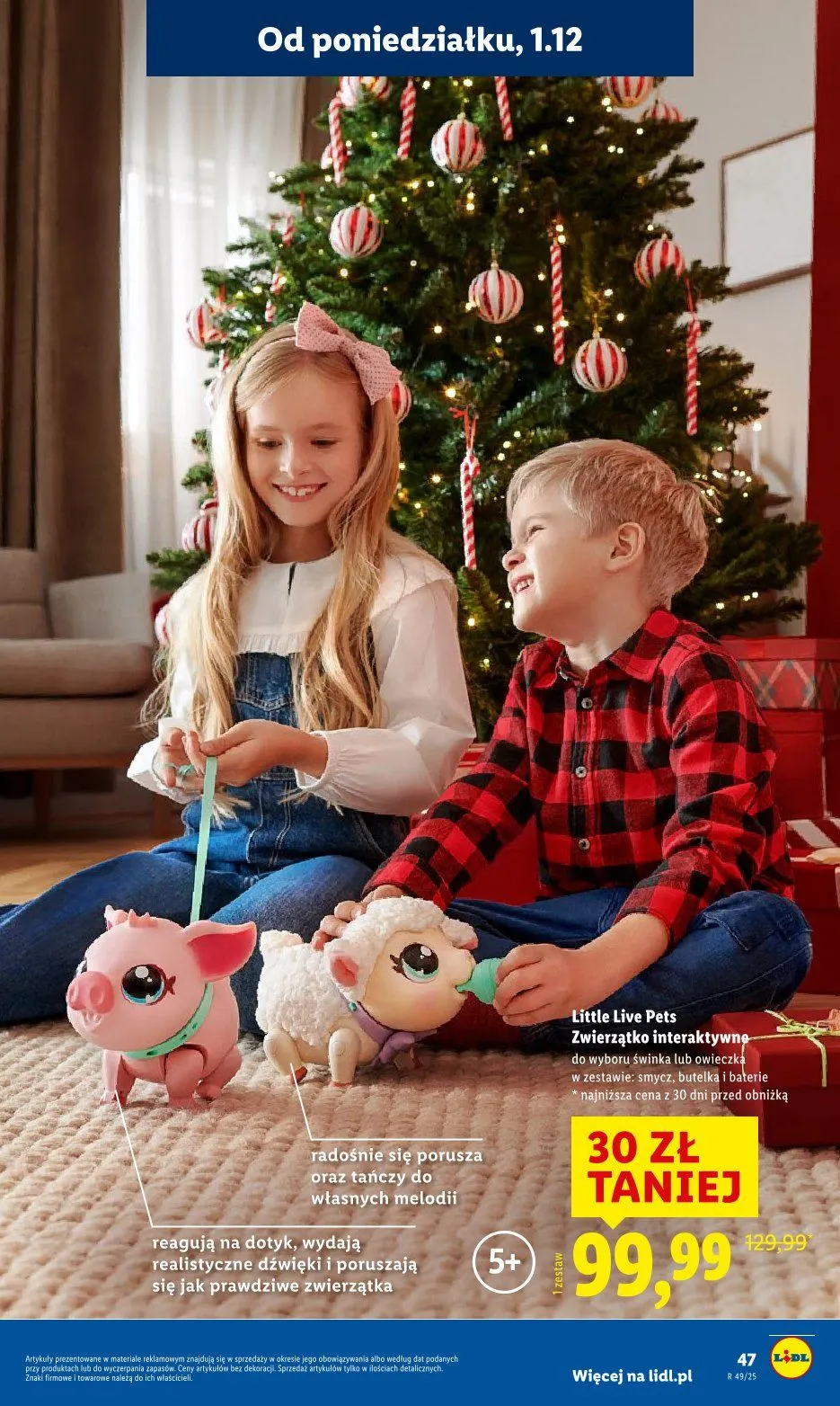 Gazetka Lidl  od 3 listopada do 5 grudnia 2025 - Strona 47