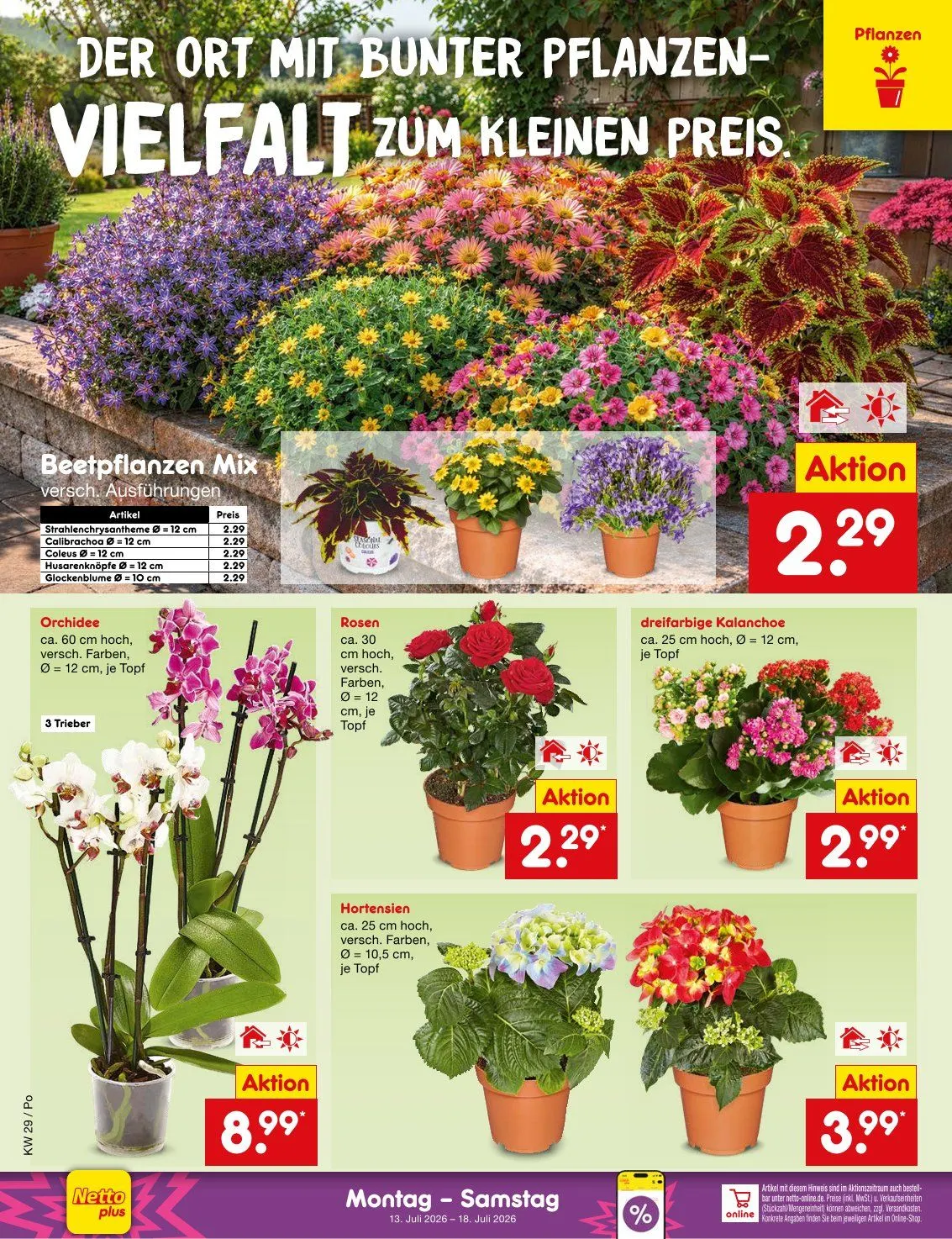 Netto Marken-Discount Folders van 13 juli tot 18 juli 2026 - Folder pagina 48
