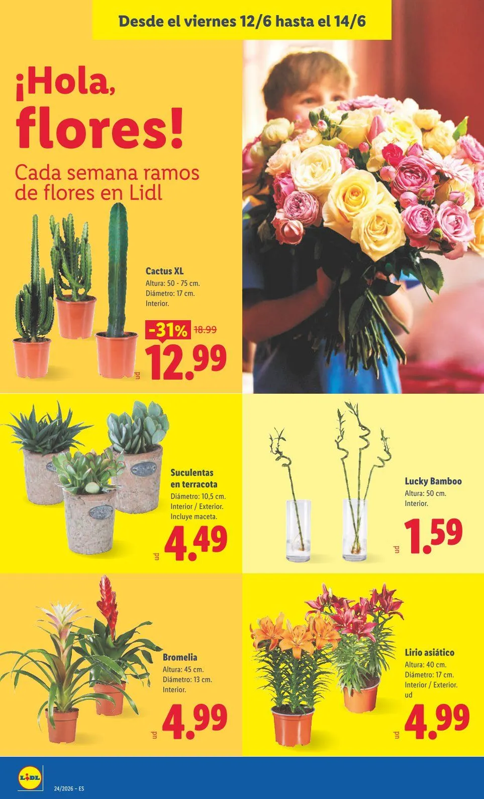Catálogo de  Catálogos de Lidl 8 de junio al 14 de junio 2026 - Página 48