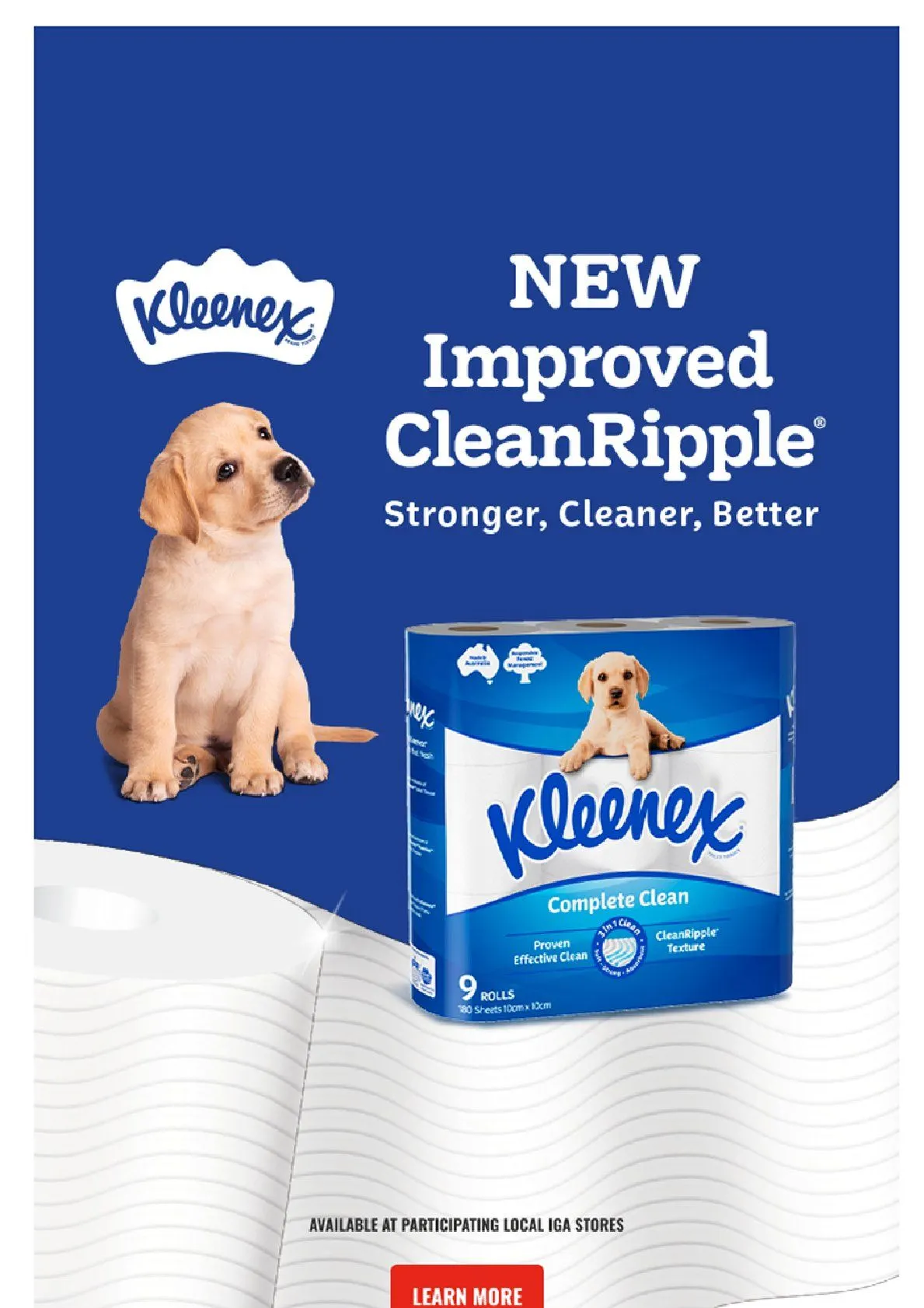 Weekly ad IGA Deals from March 26 to April 1 2025 - Page 19