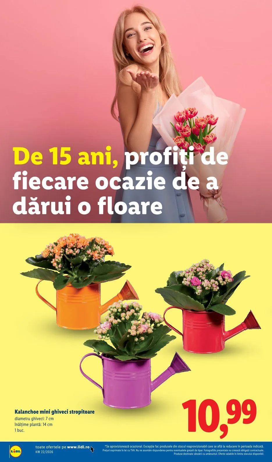 Catalog Lidl catalog de la 25 mai până la 31 mai 2026 - Revista Pagina 48