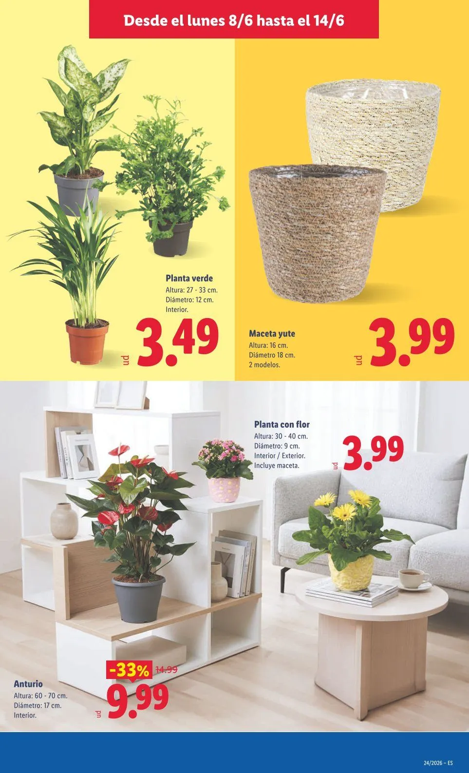 Catálogo de  Catálogos de Lidl 8 de junio al 14 de junio 2026 - Página 49