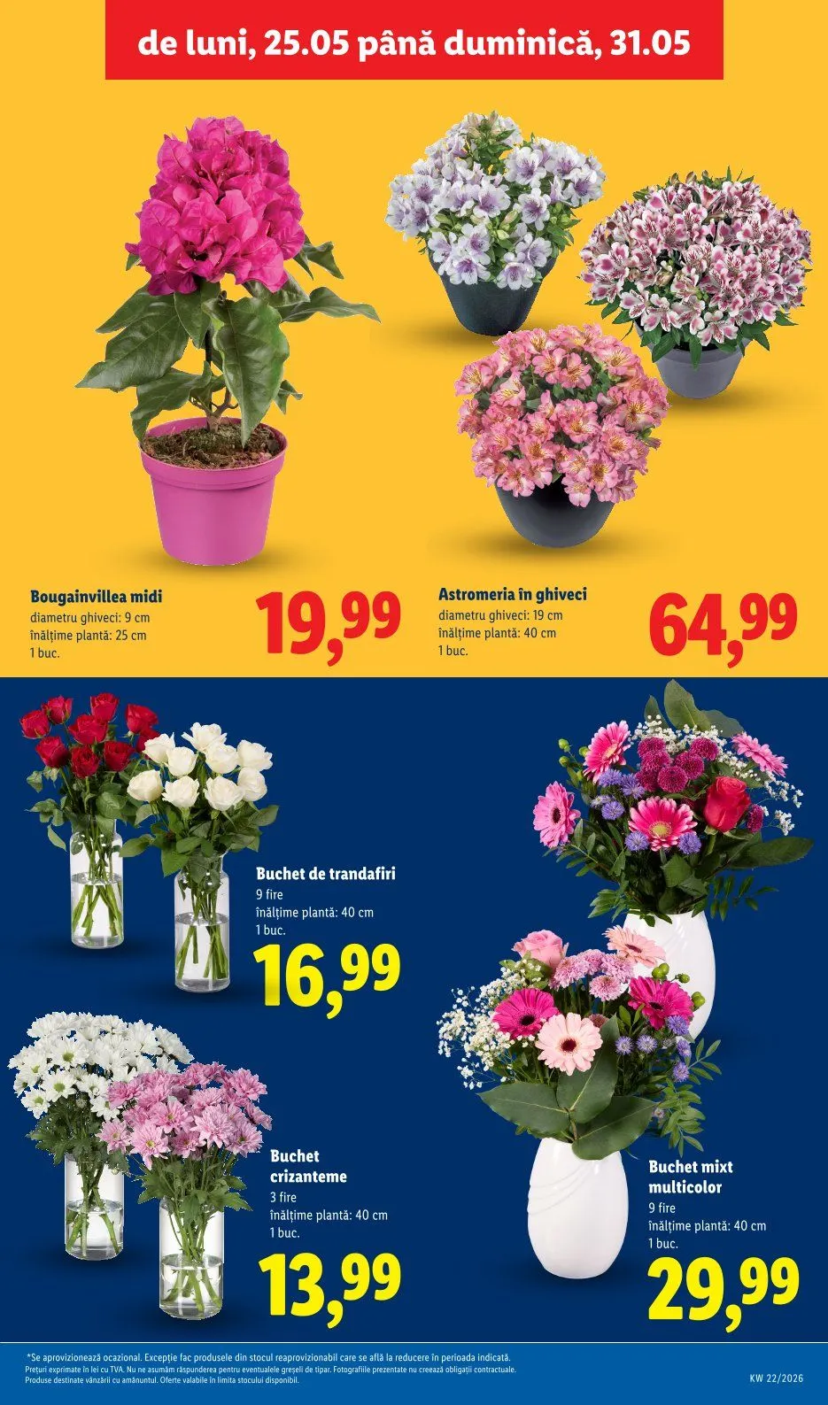 Catalog Lidl catalog de la 25 mai până la 31 mai 2026 - Revista Pagina 49