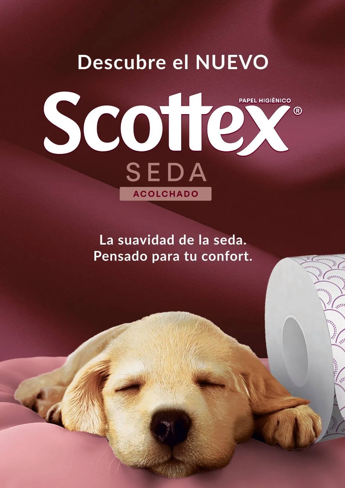 Catálogo de  Alimerka Ofertas 18 de mayo al 24 de mayo 2026 - Página 50