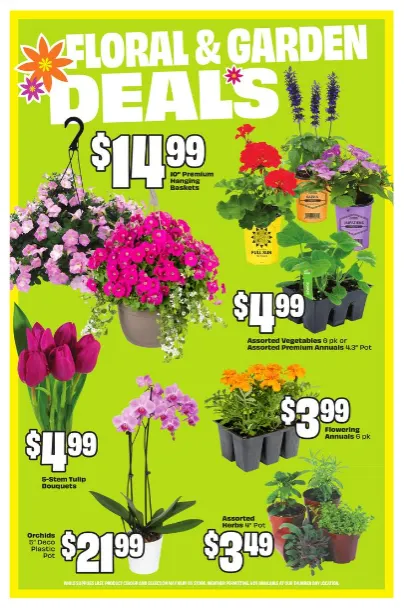 Freshco Sales from April 30 to May 6 2026 - flyer page 5
