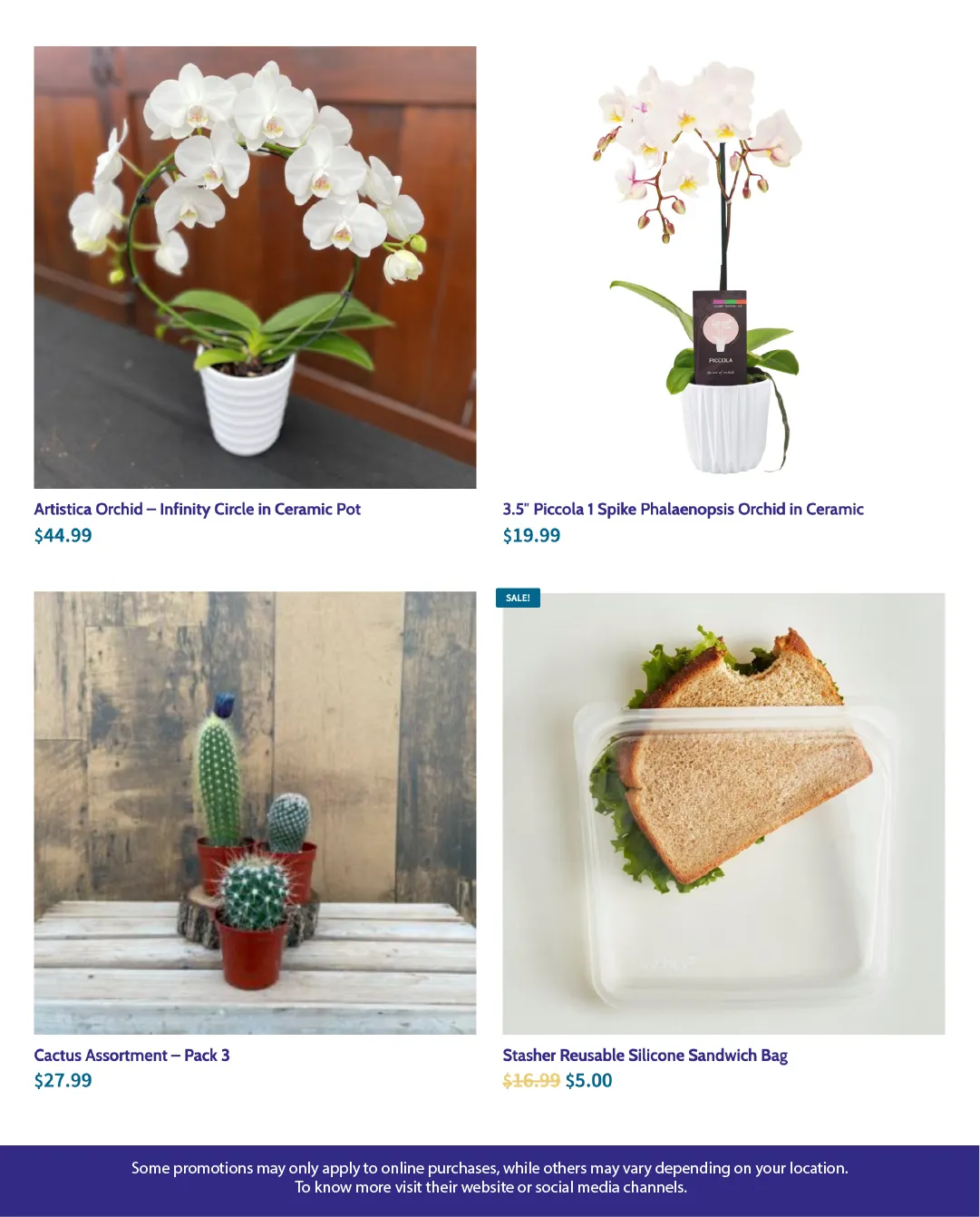 Terra Green Houses Sales from December 15 to January 4 2026 - flyer page 4