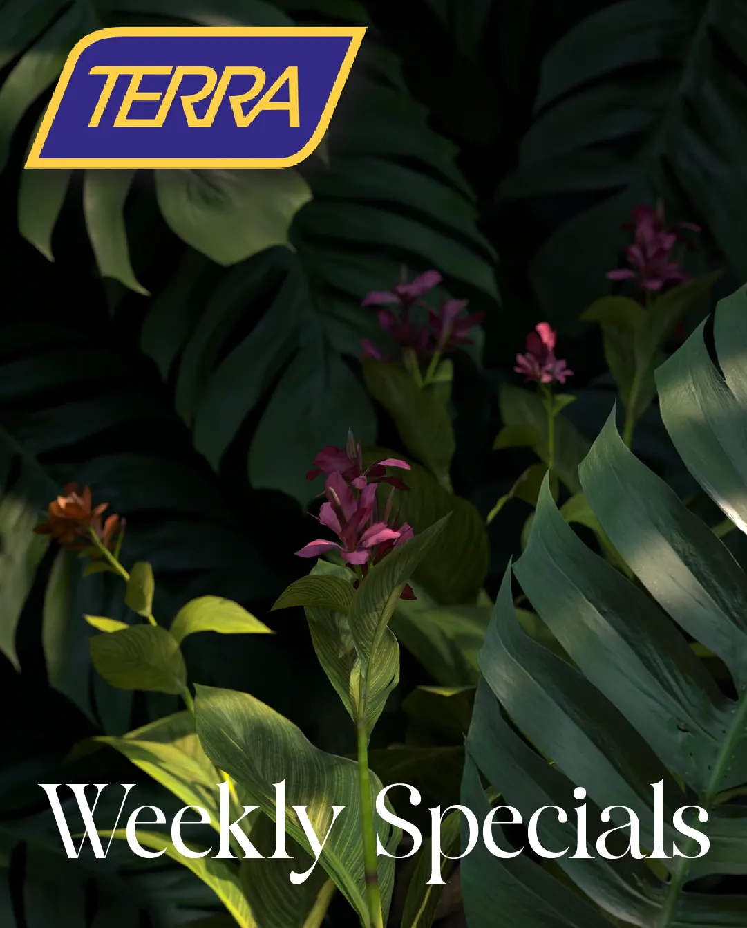  Terra Green Houses Sales from February 25 to March 16 2026 - flyer page 1