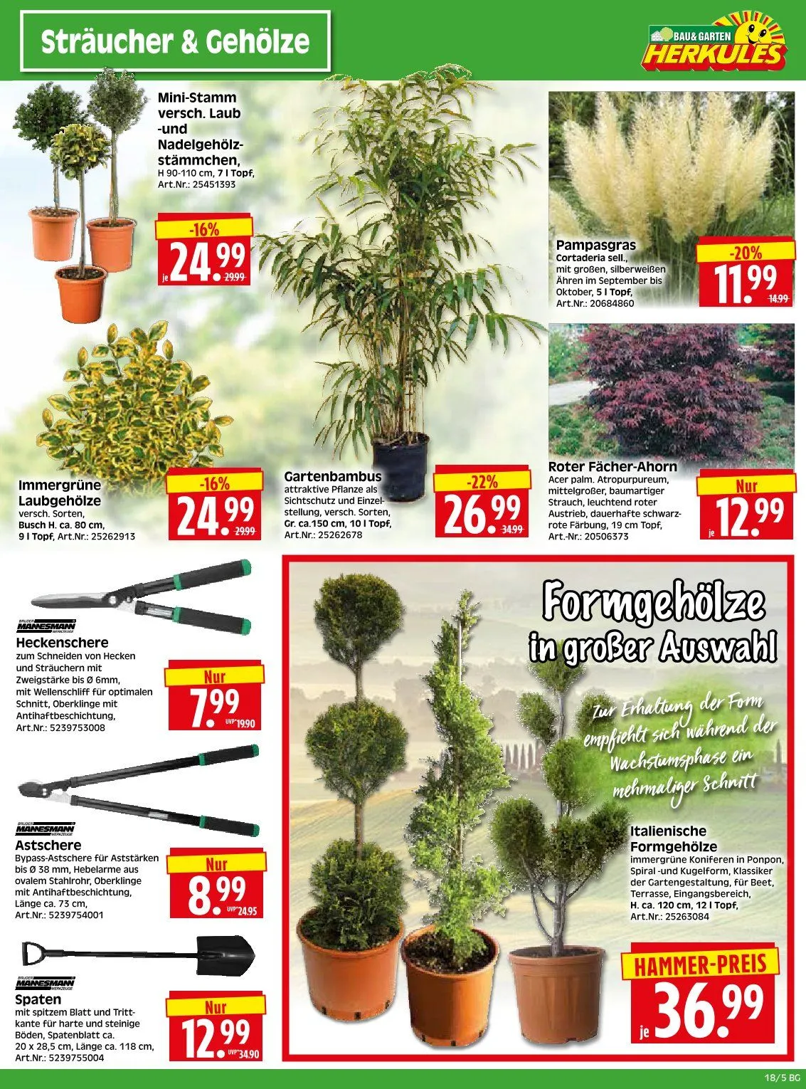 Herkules Baumarkt Angebote von 28. April bis 3. Mai 2025 - Prospekt seite 5