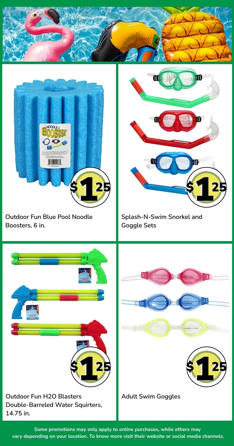 Weekly ad Weekly ads from May 30 to June 16 2025 - Page 4