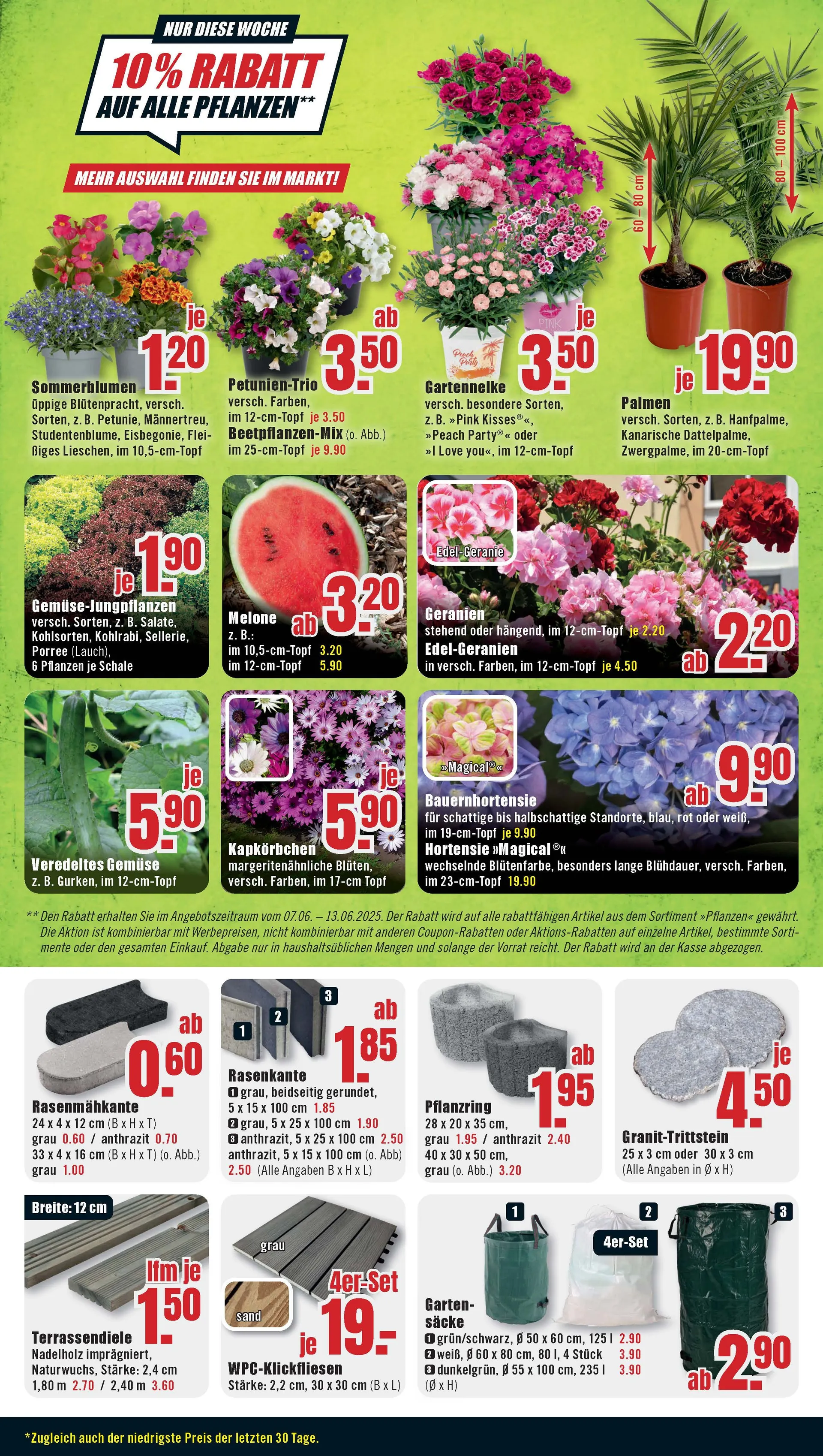 B1 Discount Baumarkt Prospekte von 7. Juni bis 13. Juni 2025 - Prospekt seite 5